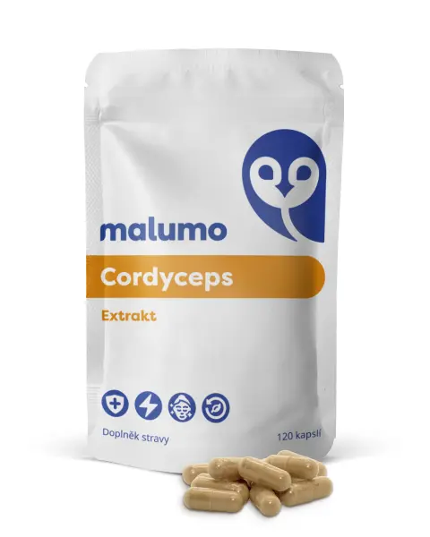 Cordyceps Extrakt