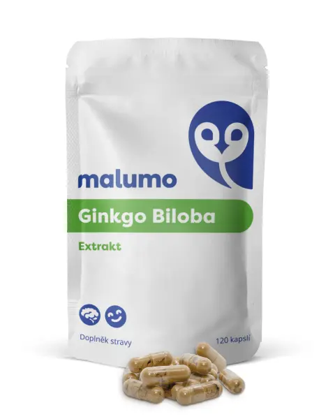 Ginkgo Biloba Extrakt