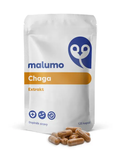 Chaga Extrakt