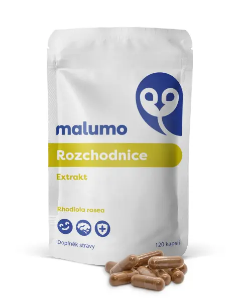 Rozchodnice Extrakt
